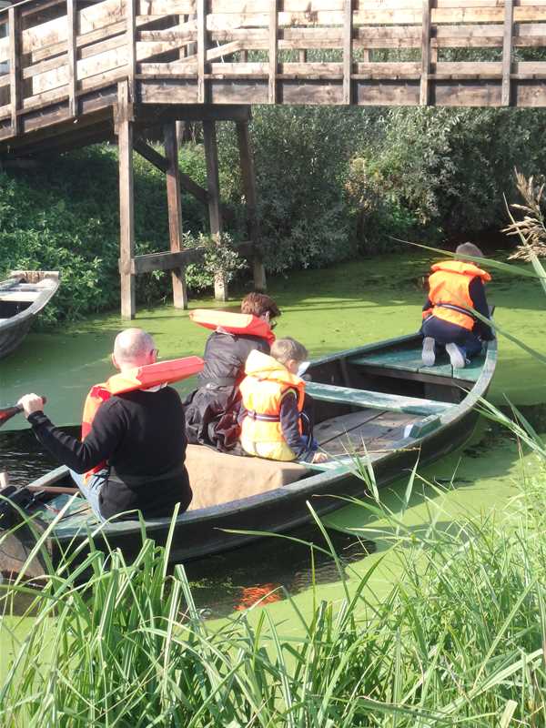 Location de barques à moteur pour découvrir le marais audomarois