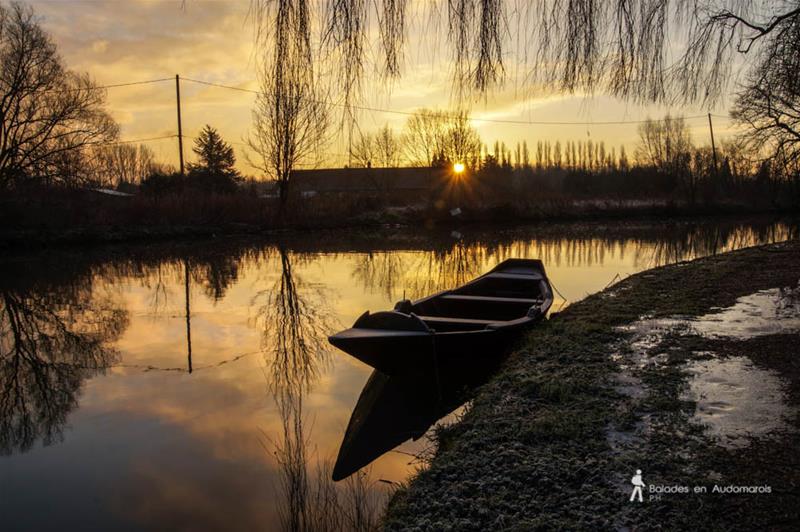 Escute sur le lansbergues